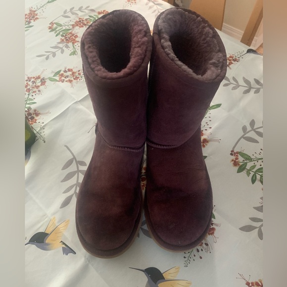 UGG Boots - Picture 1 of 3